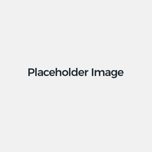 Placeholder 500x500 